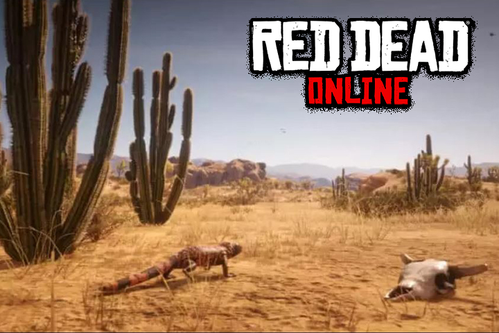 Red Dead Redemption 2 : Mexique, bientôt dans Red Dead Online ?